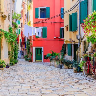 Rovinj Town Large